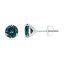 6mm-aaa-teal-montana-sapphire-p950-platinum-earrings.jpg